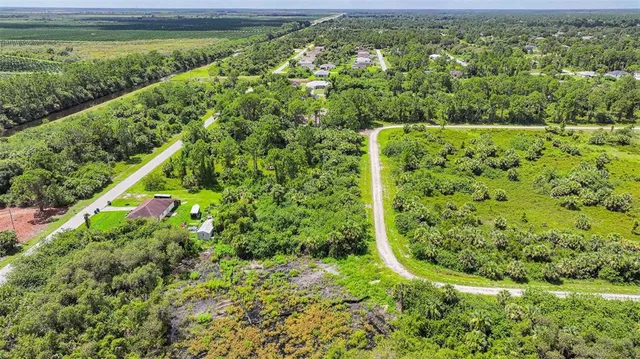 a view of a yard with plants and large trees