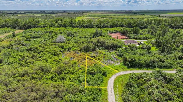a view of a garden with a park