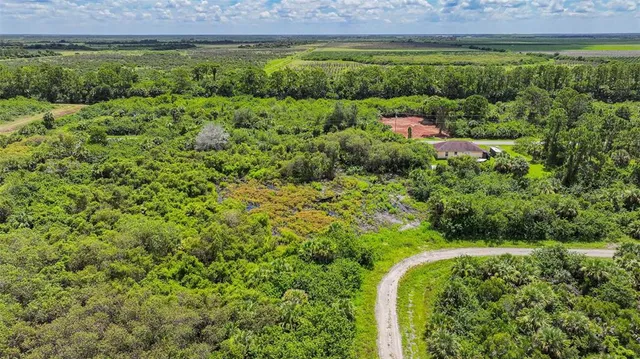 a view of a garden with an outdoor space