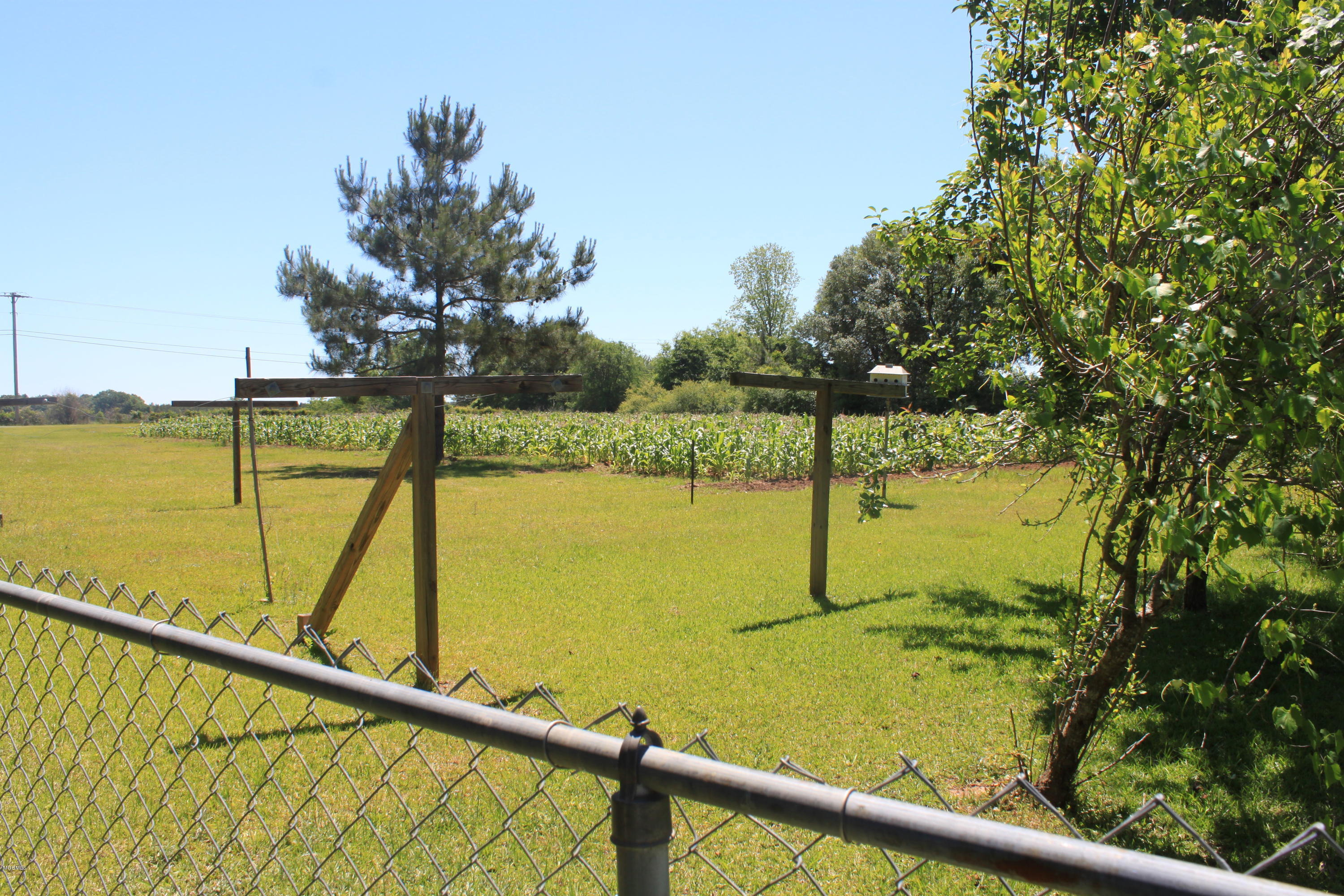 1057 Route 5 Road Lucedale, MS 39452 - Photo 28 of 34 Field