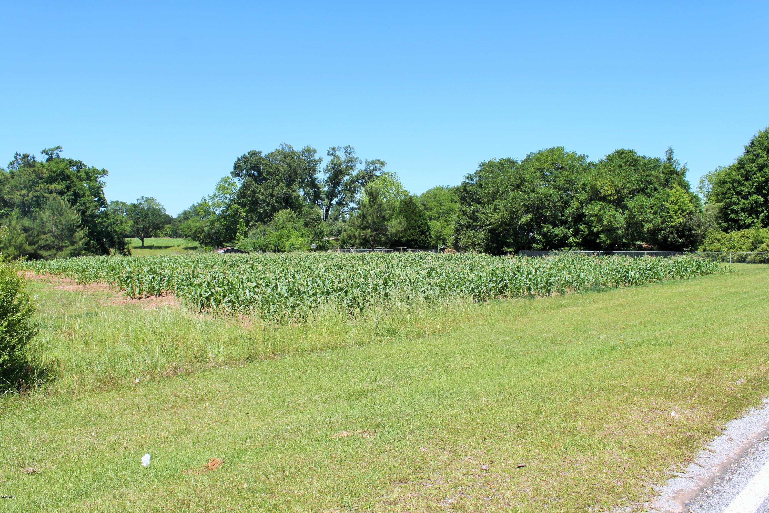 1057 Route 5 Road Lucedale, MS 39452 - Photo 33 of 34 Field from Road