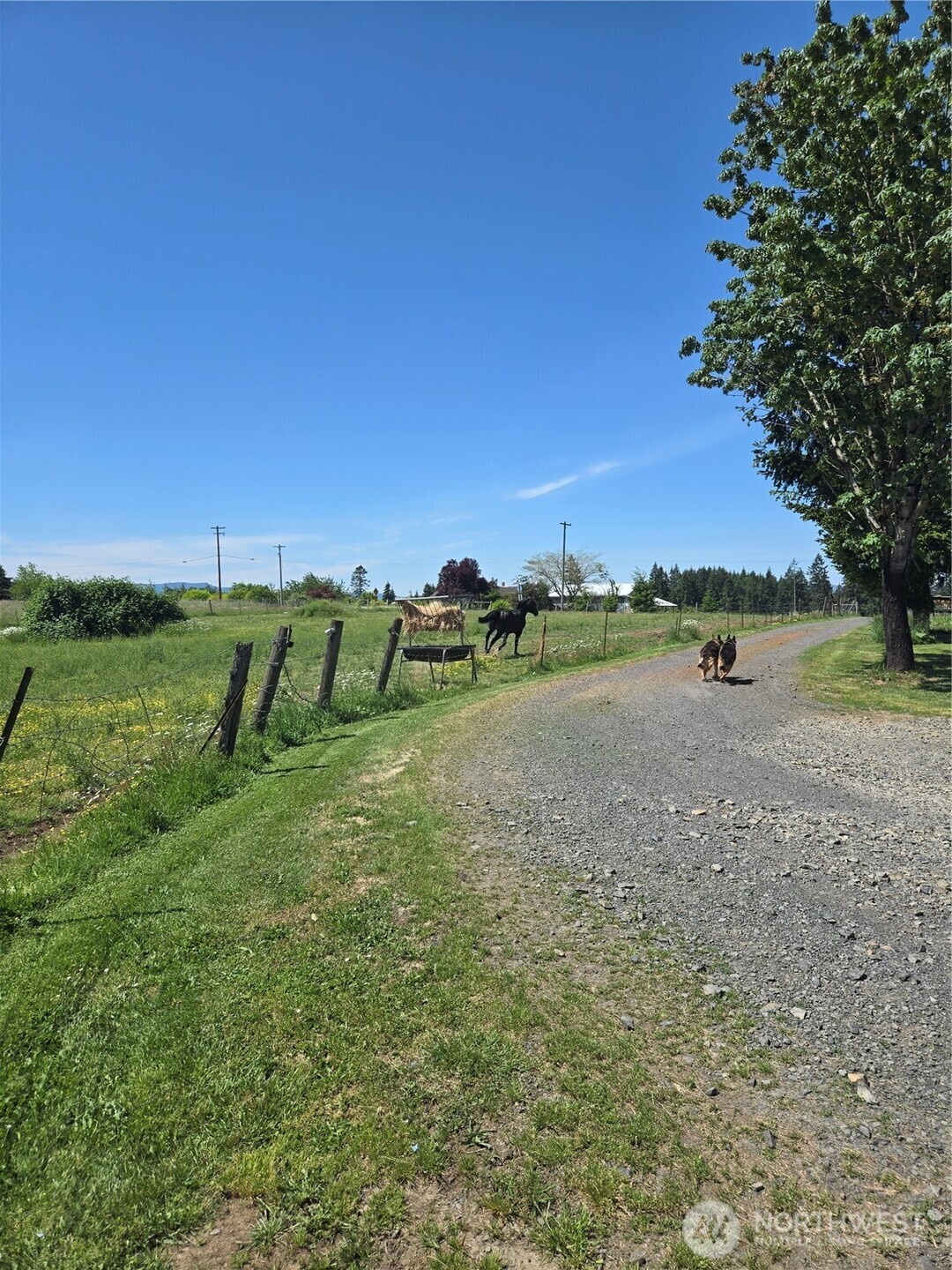 205 Nikula Road Winlock, WA 98596 - Photo 26 of 37