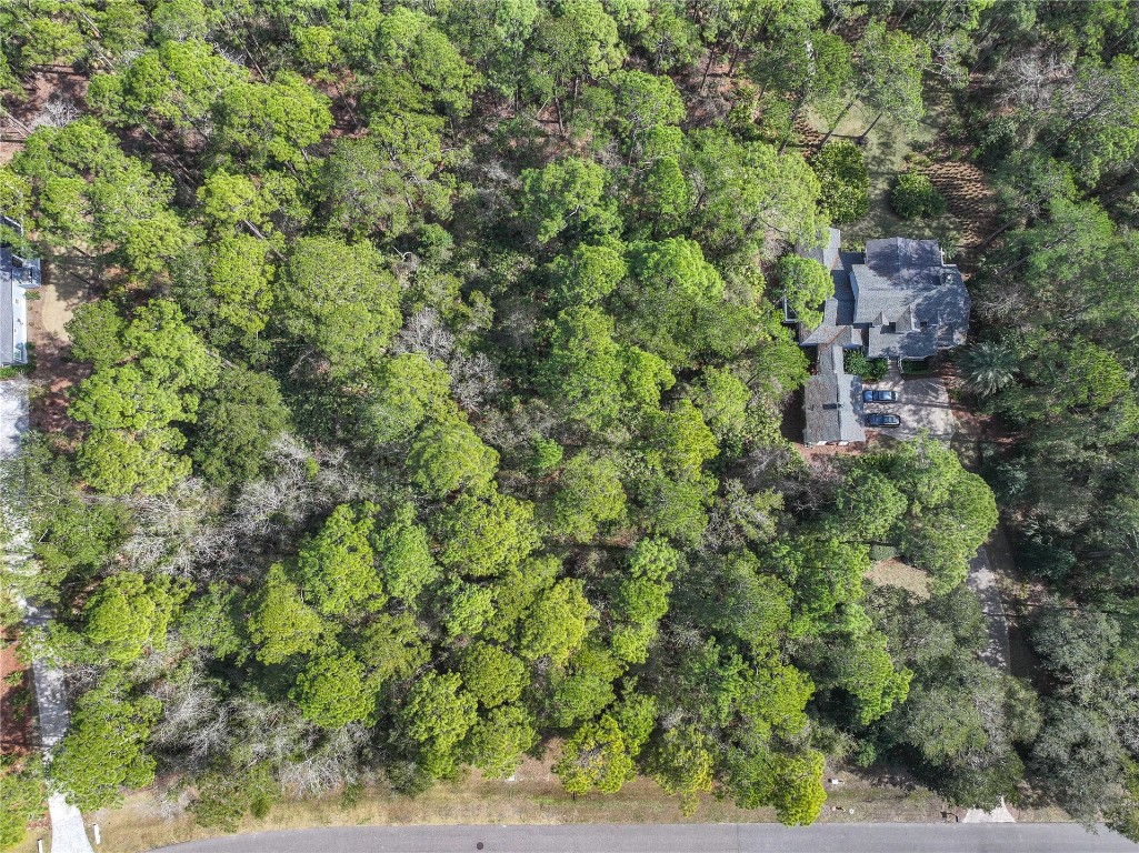 96198 Brady Point Road Fernandina Beach, FL 32034 - Photo 5 of 18 an aerial view of residential house with outdoor space and trees all around