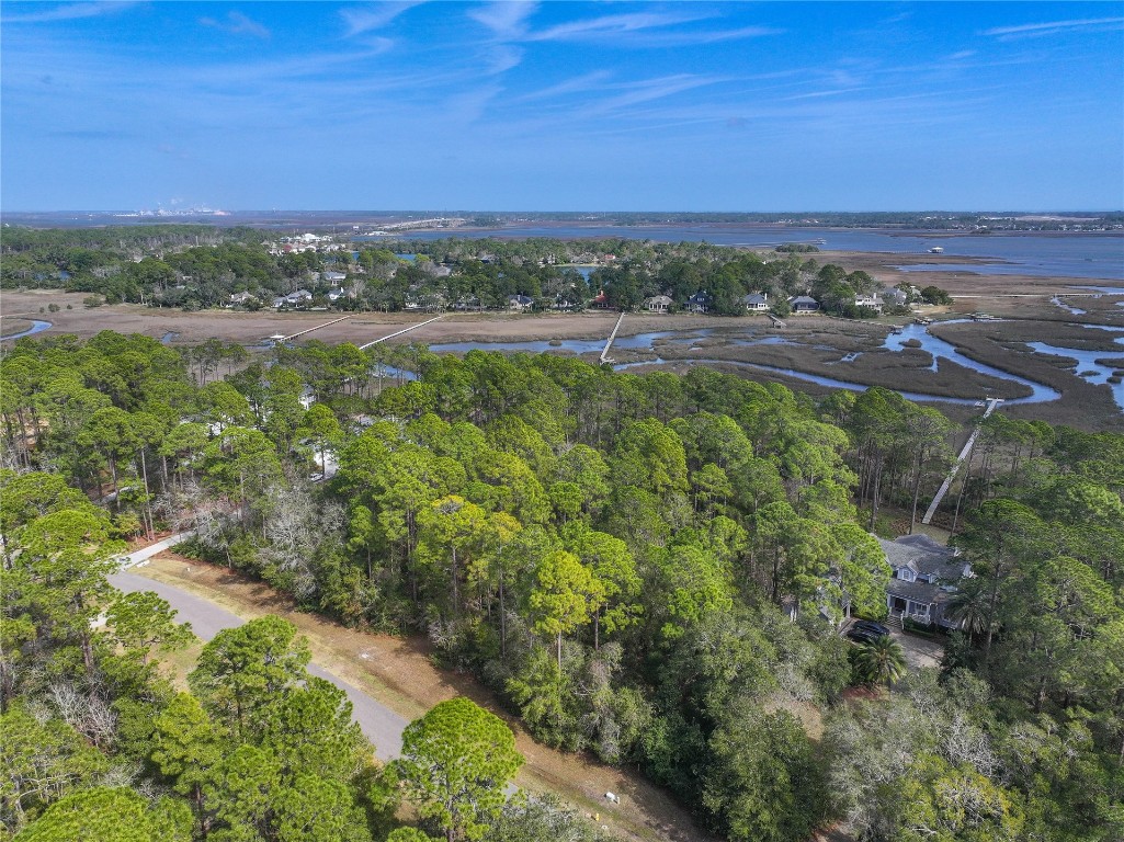 96198 Brady Point Road Fernandina Beach, FL 32034 - Photo 6 of 18 a view of a field with ocean view