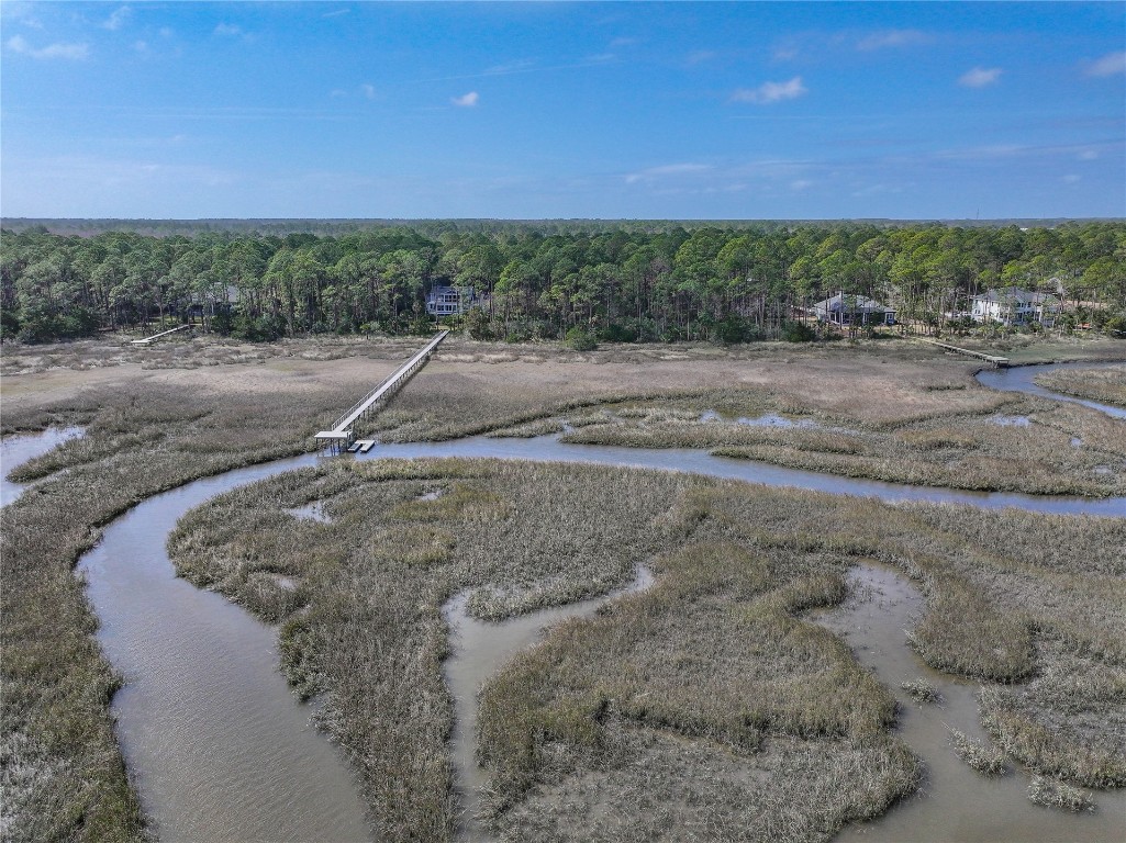 96198 Brady Point Road Fernandina Beach, FL 32034 - Photo 10 of 18 a view of a dry yard with a road