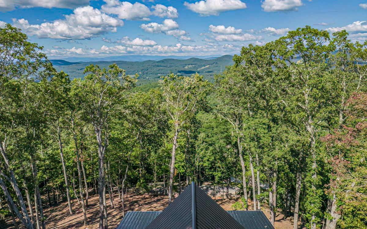 224 Eagle Ridge Morganton, GA 30560 - Photo 47 of 75 Additional View