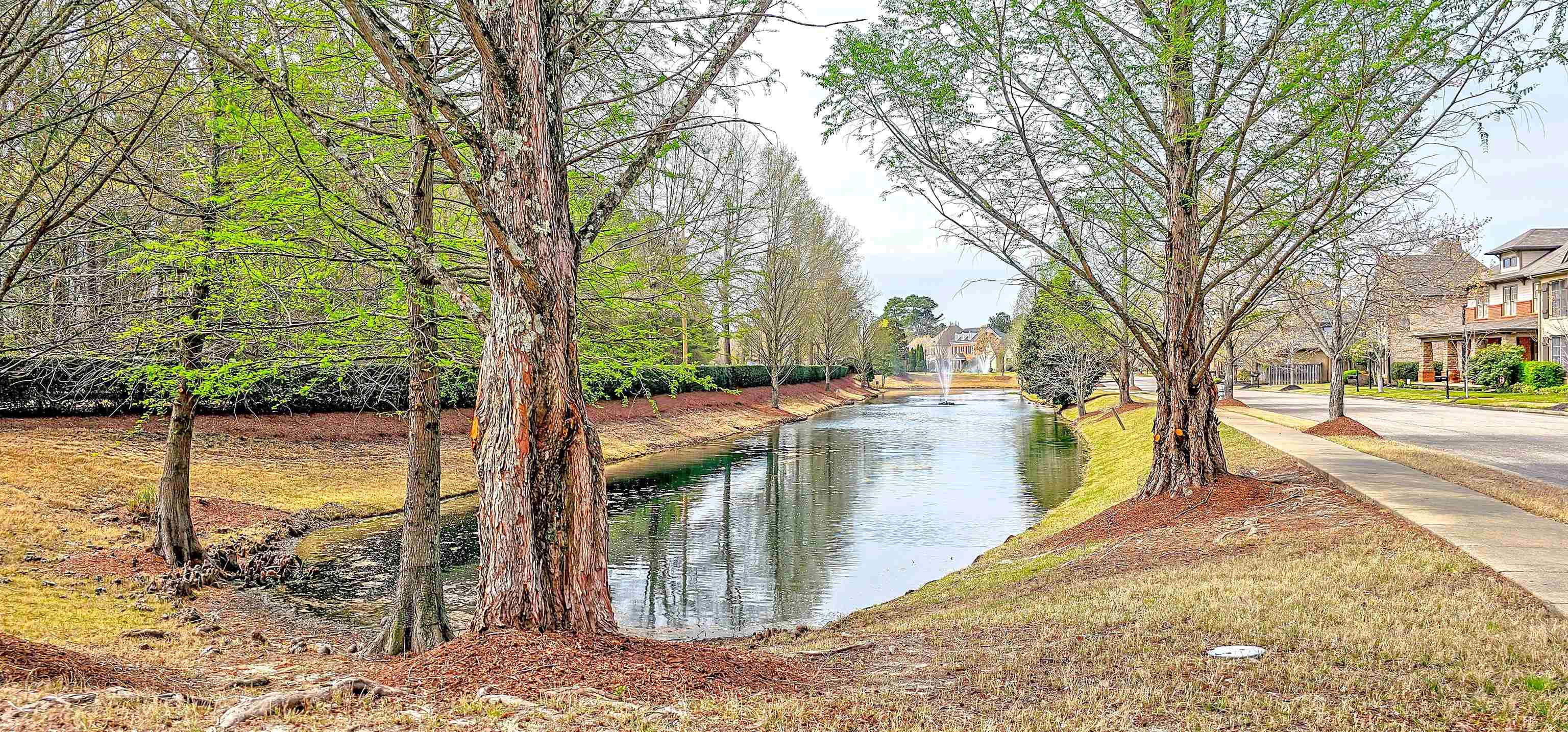 1784 Penshurst Drive Collierville, TN 38017 - Photo 35 of 40 a view of a lake with a trees