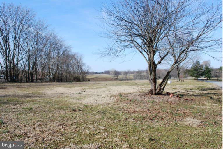4253 Linthicum Road Dayton, MD 21036 - Photo 3 of 3 View 2