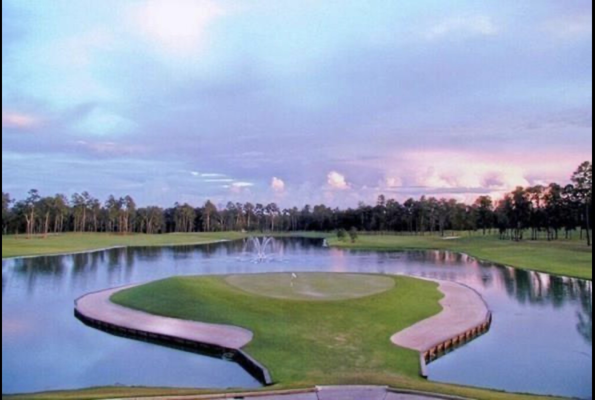 7438 Bethpage Lane Spring, TX 77389 - Photo 16 of 16 an aerial view of a swimming pool and a yard