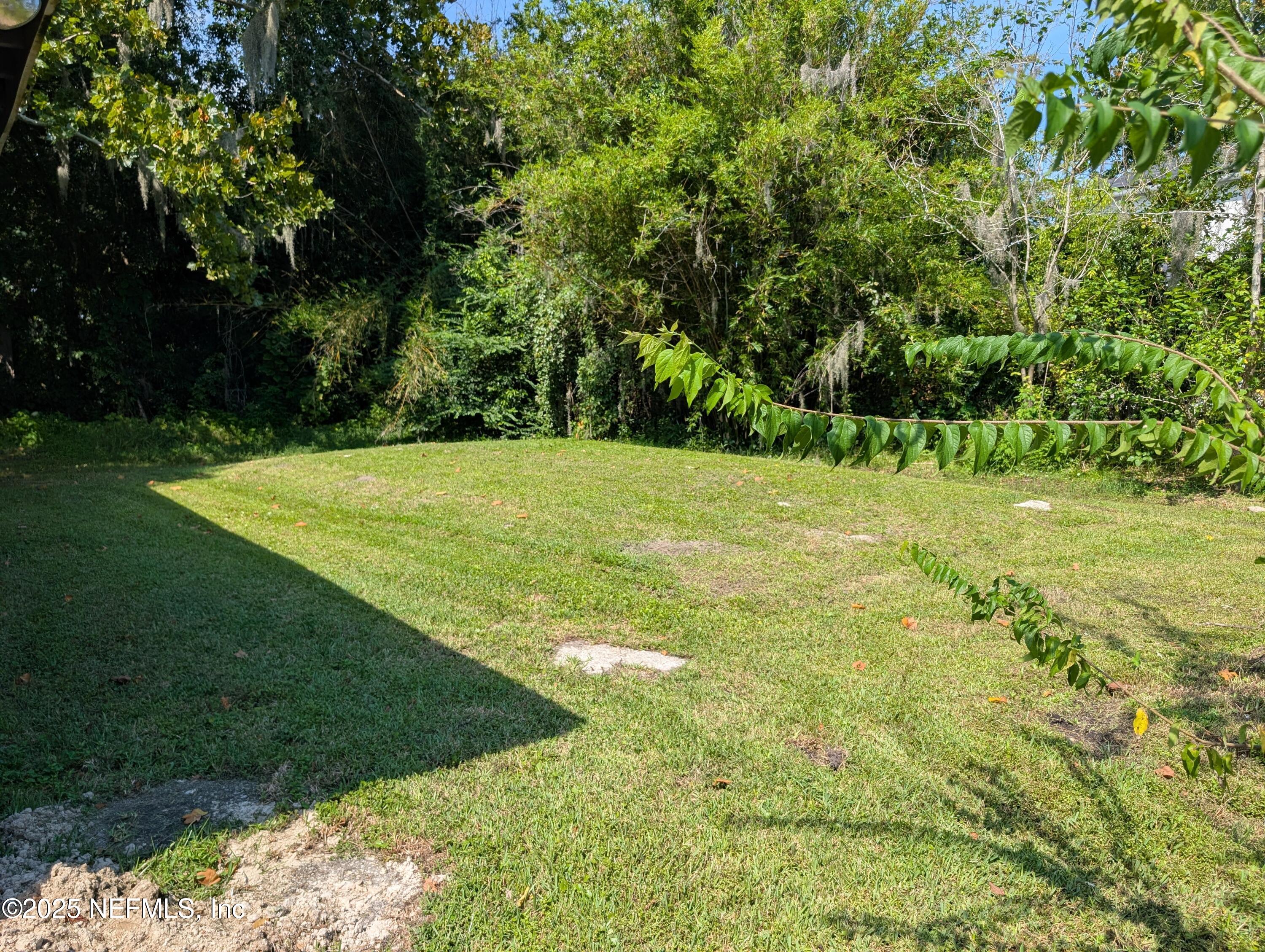 1339 Ellis Road South Jacksonville, FL 32205 - Photo 5 of 26 a view of field with tall trees