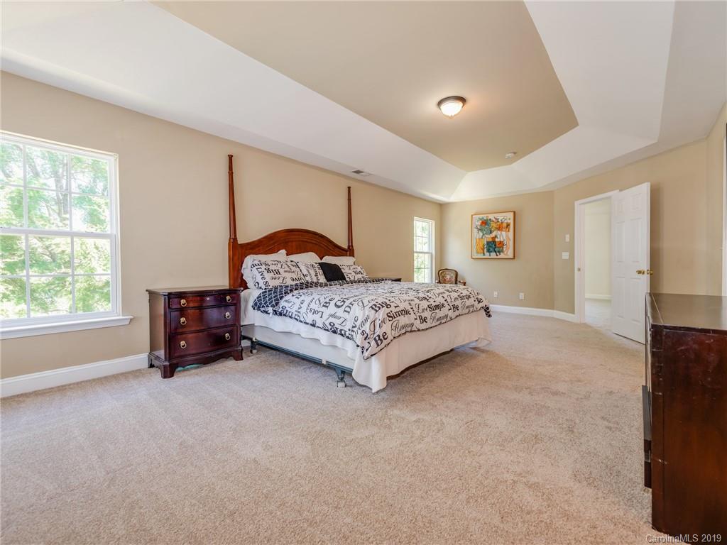 386 Primrose Walk Fort Mill, SC 29715 - Photo 9 of 20
