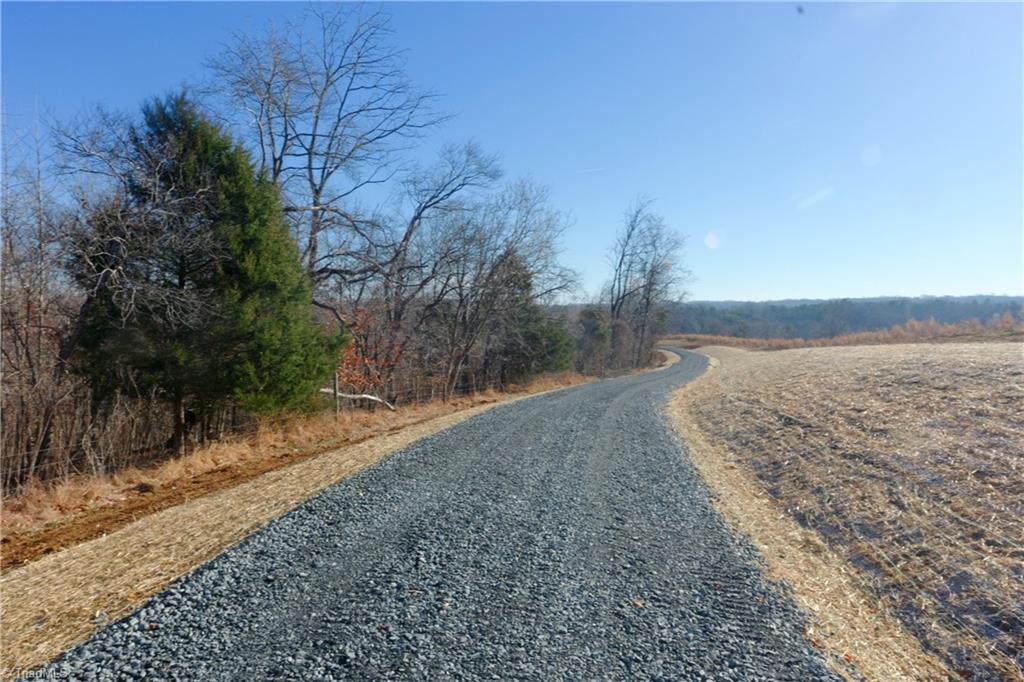 2 Roby Fulk Road Pinnacle, NC 27043 - Photo 7 of 24