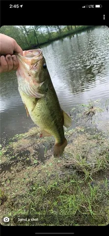 $895,000 | 36131 West 130th Street, Rayville, MO 64084