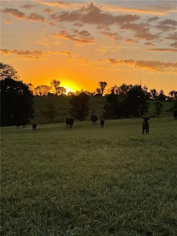 $895,000 | 36131 West 130th Street, Rayville, MO 64084