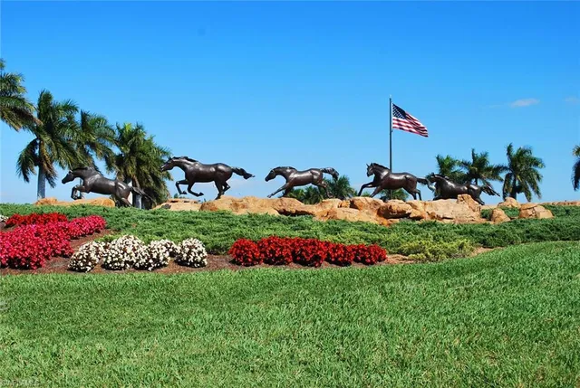 a view of a bunch of flowers
