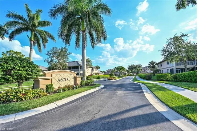 a view of a garden with palm trees