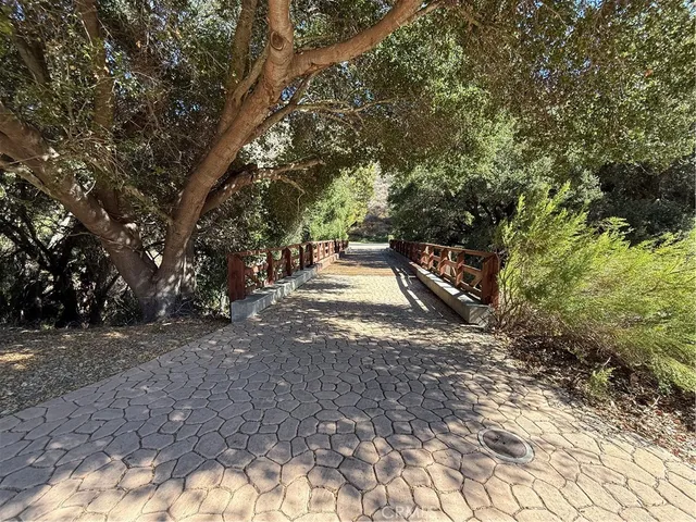 a view of a yard with plants and trees
