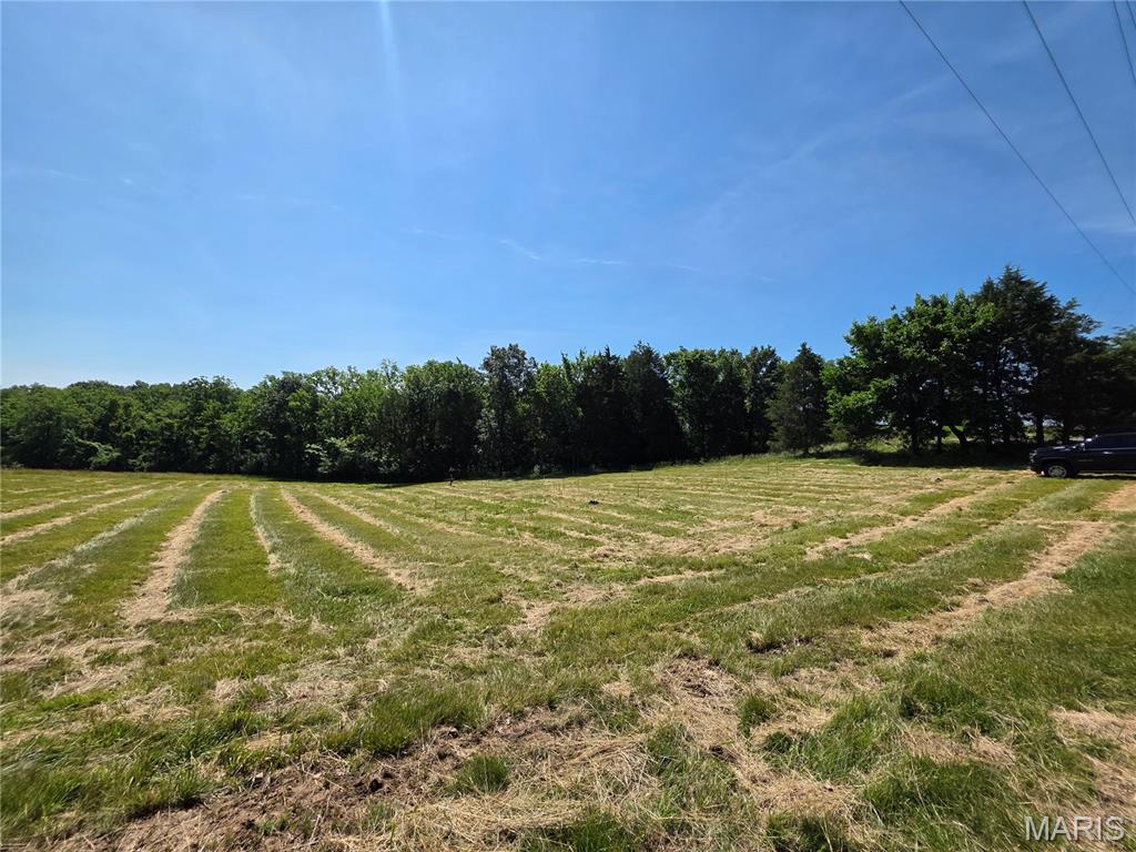 5506 Ll Road Waterloo, IL 62298 - Photo 3 of 4