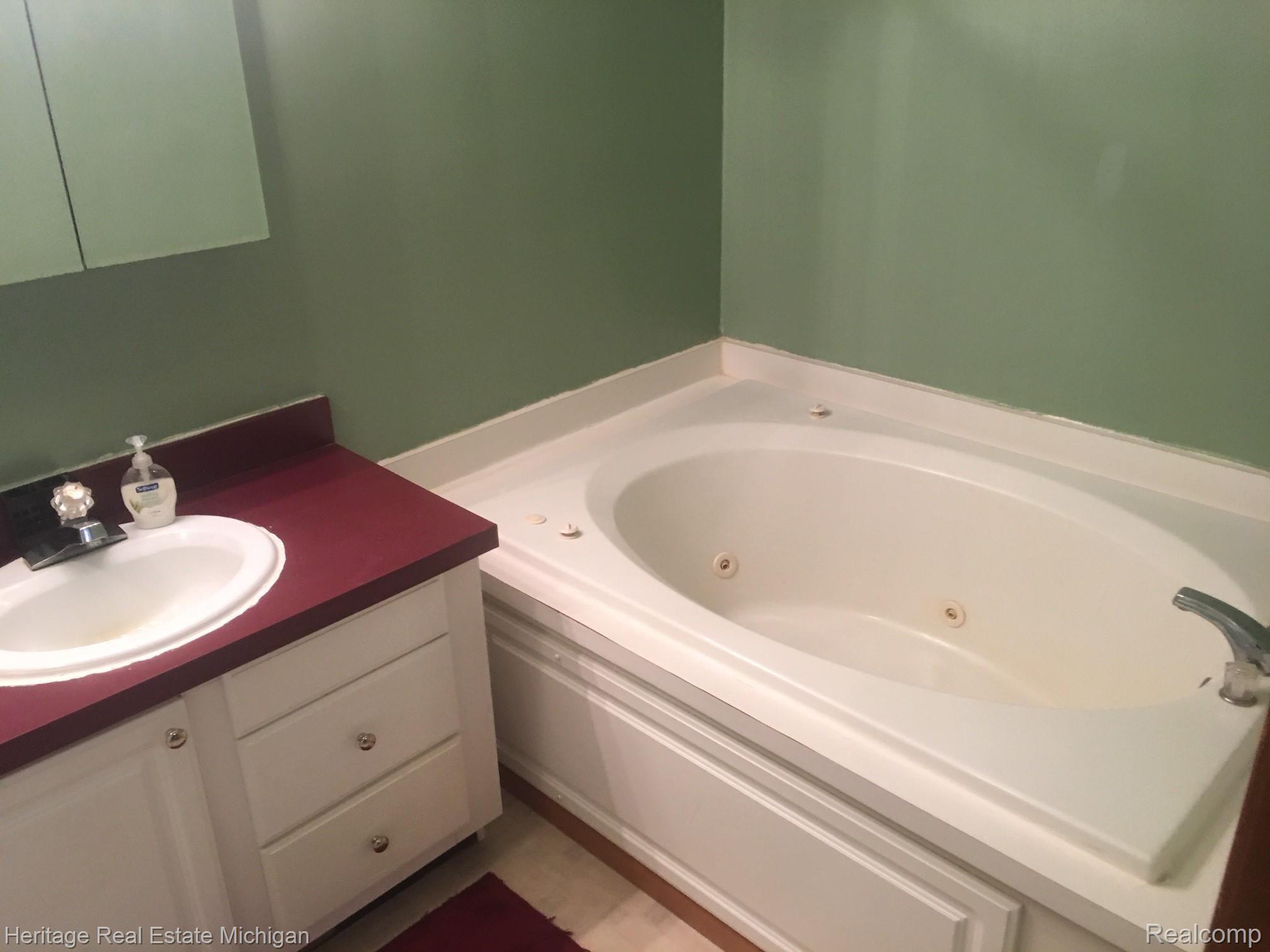 285 North Hughes Road Howell, MI 48843 - Photo 10 of 13 Wonderful tub to soak the day away!