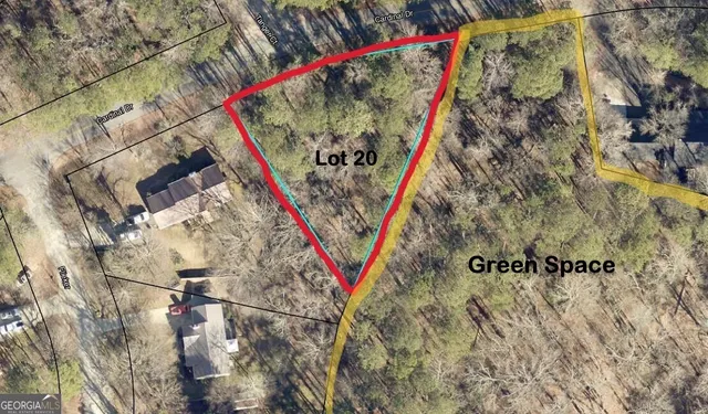 a close up of a plant