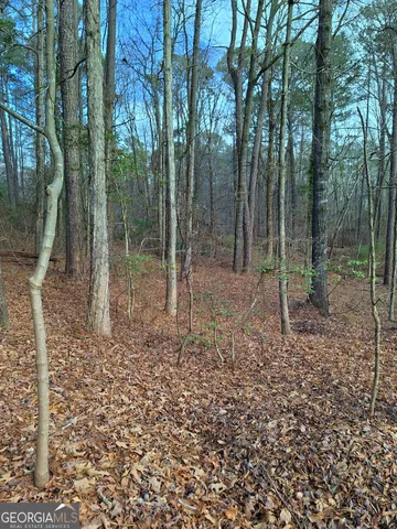 a view of backyard with tree