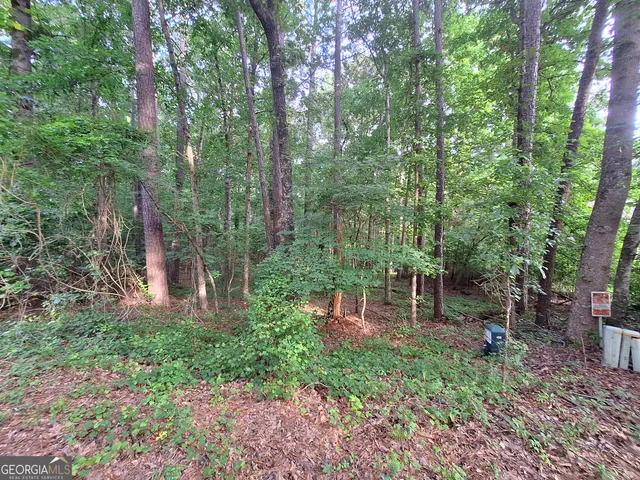 a view of a garden with trees