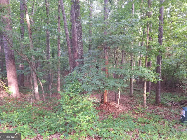 a view of a garden with large trees