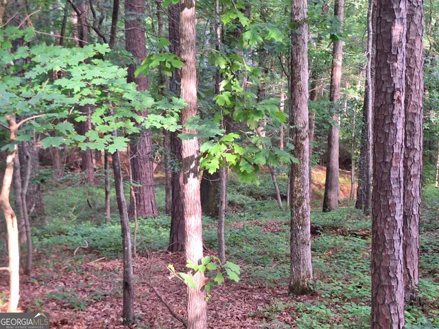 a plant that is in front of a tree