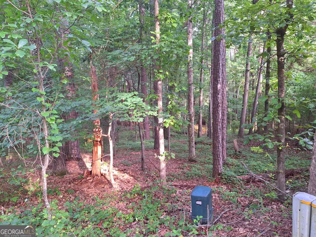 a backyard of a house with lots of green space and garden