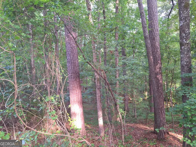 a backyard of a house with lots of green space and trees