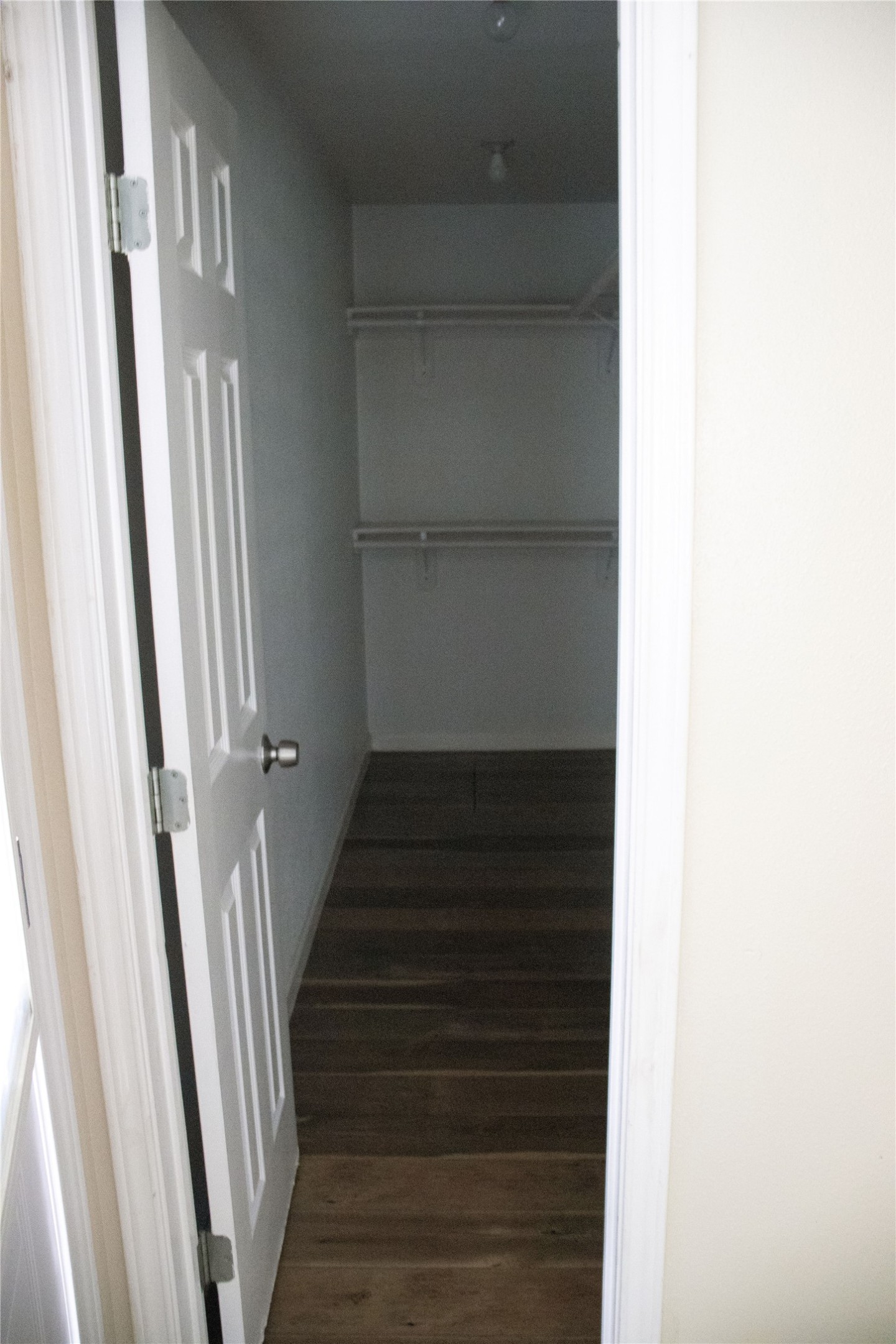 633 South Commerce Street Lockhart, TX 78644 - Photo 24 of 29 Recessed closet space featuring wood-finish flooring, white panel door, and two levels of built-in shelving