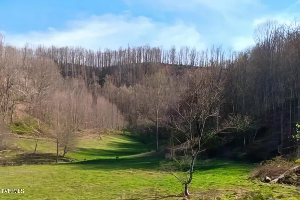 $396,000 | Tbd Miller Road, Trade, TN 37691