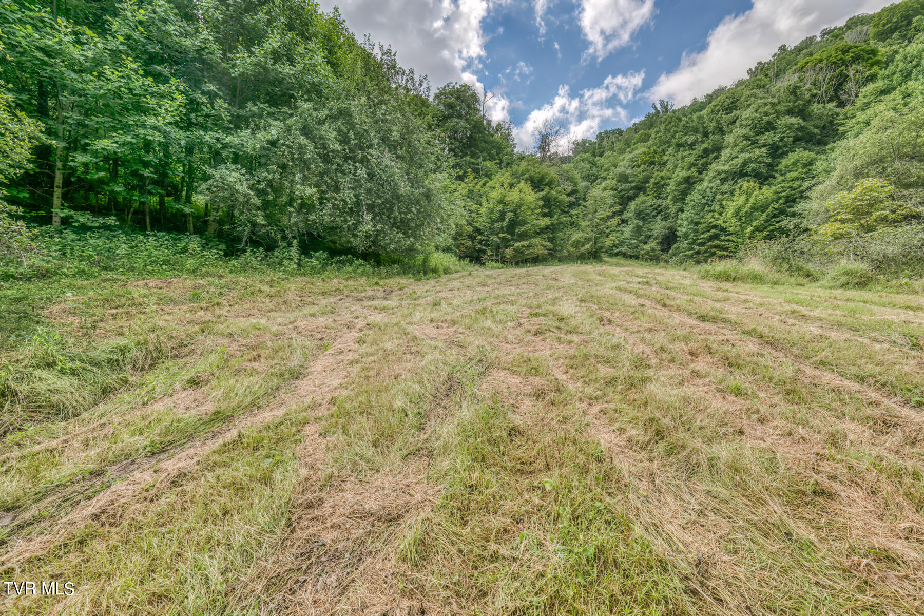 Tbd Miller Road Trade, TN 37691 - Photo 18 of 55 TBD Miller Rd-22