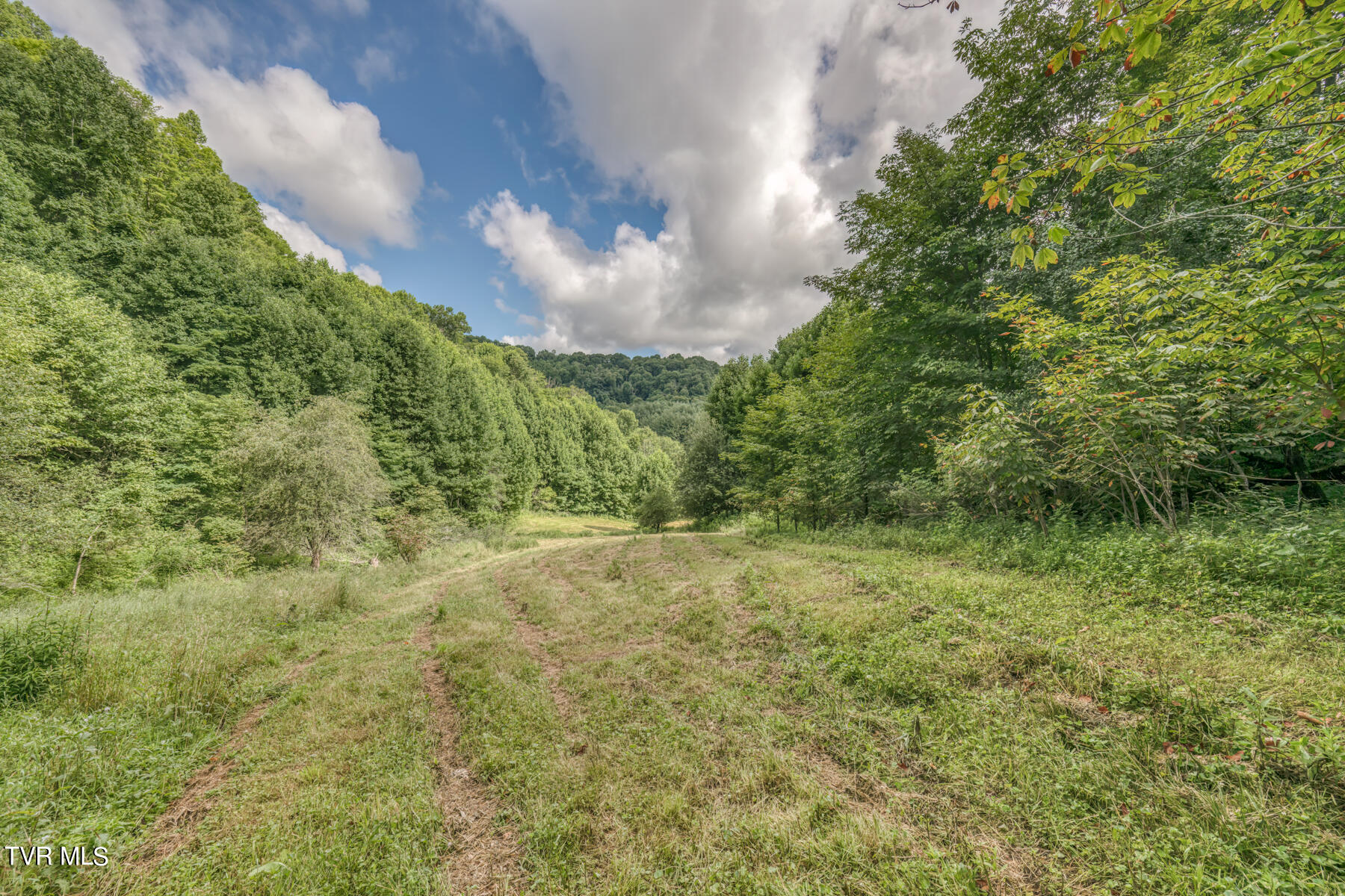Tbd Miller Road Trade, TN 37691 - Photo 19 of 55 TBD Miller Rd-23