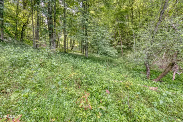 $396,000 | Tbd Miller Road, Trade, TN 37691