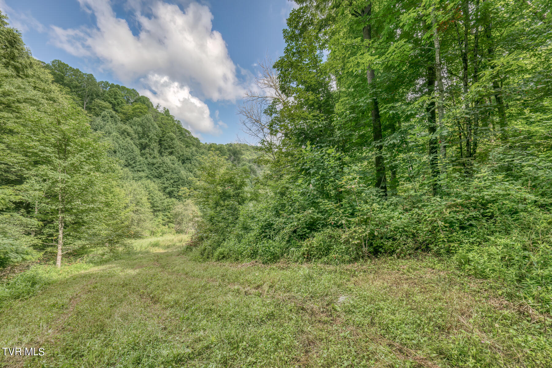 Tbd Miller Road Trade, TN 37691 - Photo 22 of 55 TBD Miller Rd-26