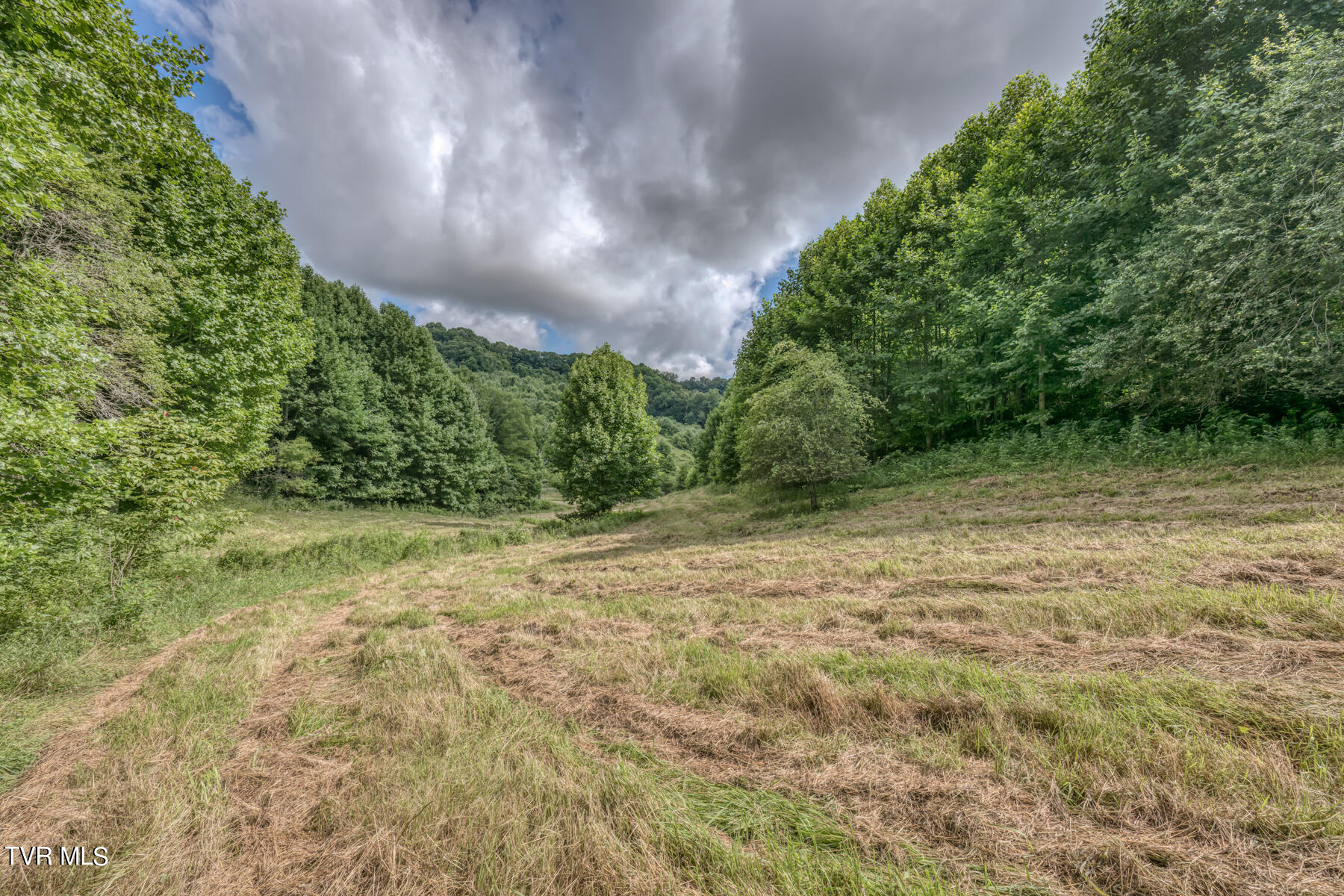 Tbd Miller Road Trade, TN 37691 - Photo 24 of 55 TBD Miller Rd-28