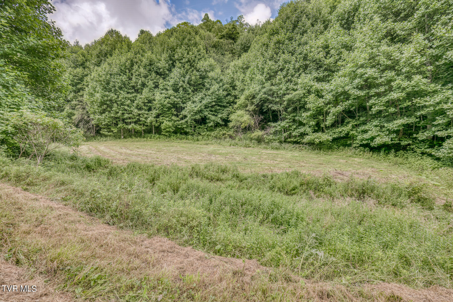 Tbd Miller Road Trade, TN 37691 - Photo 25 of 55 TBD Miller Rd-29