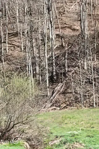 $396,000 | Tbd Miller Road, Trade, TN 37691