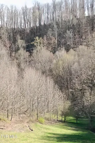 $396,000 | Tbd Miller Road, Trade, TN 37691