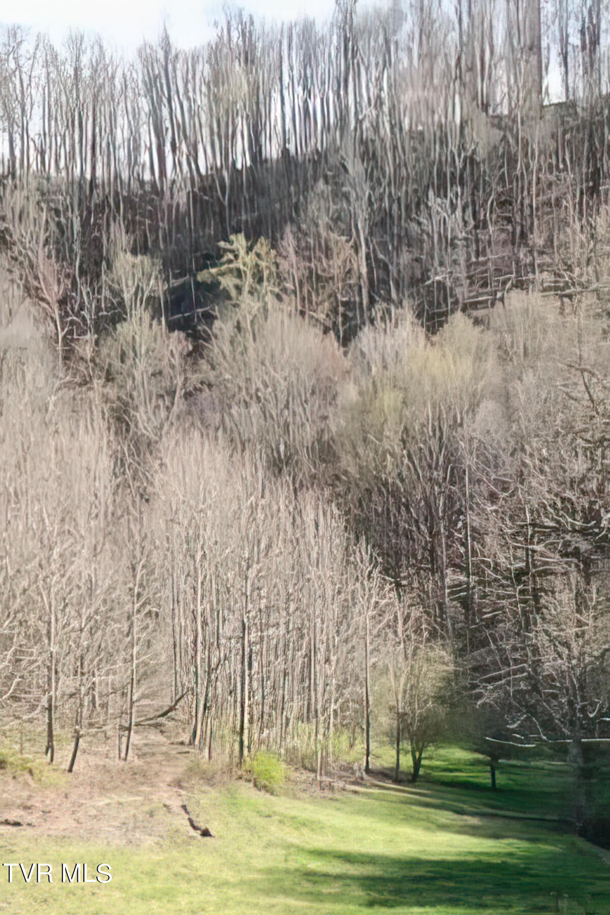 Tbd Miller Road Trade, TN 37691 - Photo 37 of 55 TBD Miller Rd-42