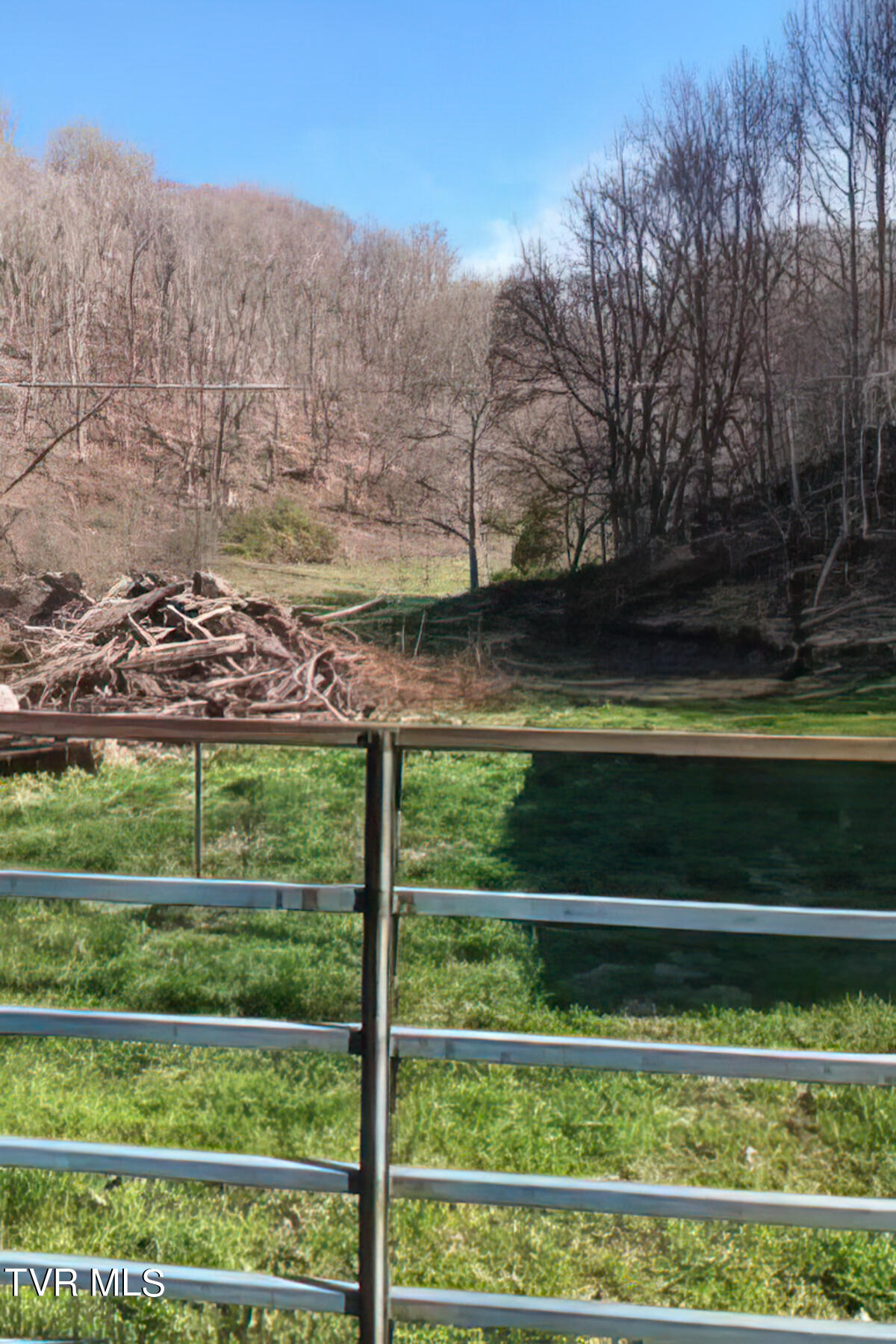 Tbd Miller Road Trade, TN 37691 - Photo 38 of 55 TBD Miller Rd-43