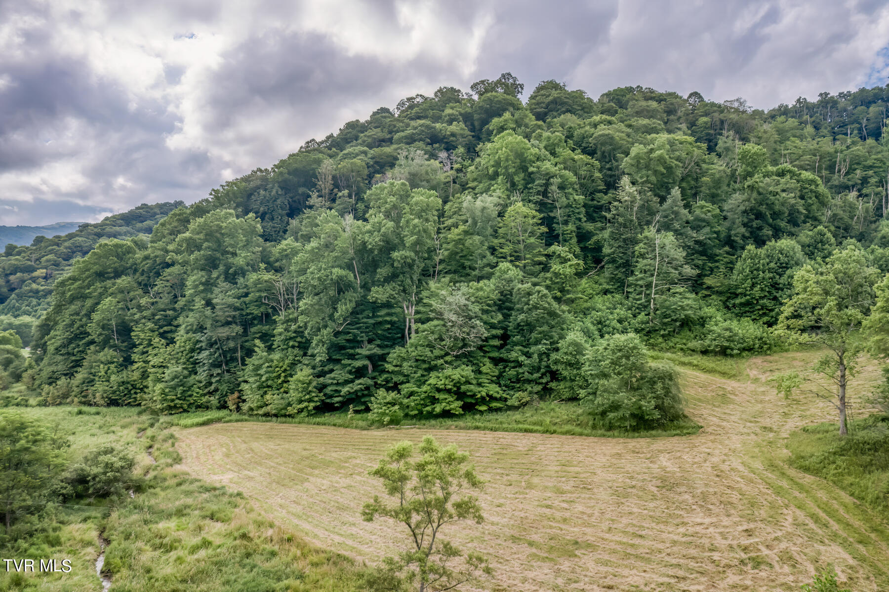 Tbd Miller Road Trade, TN 37691 - Photo 4 of 55 TBD Miller Rd-8