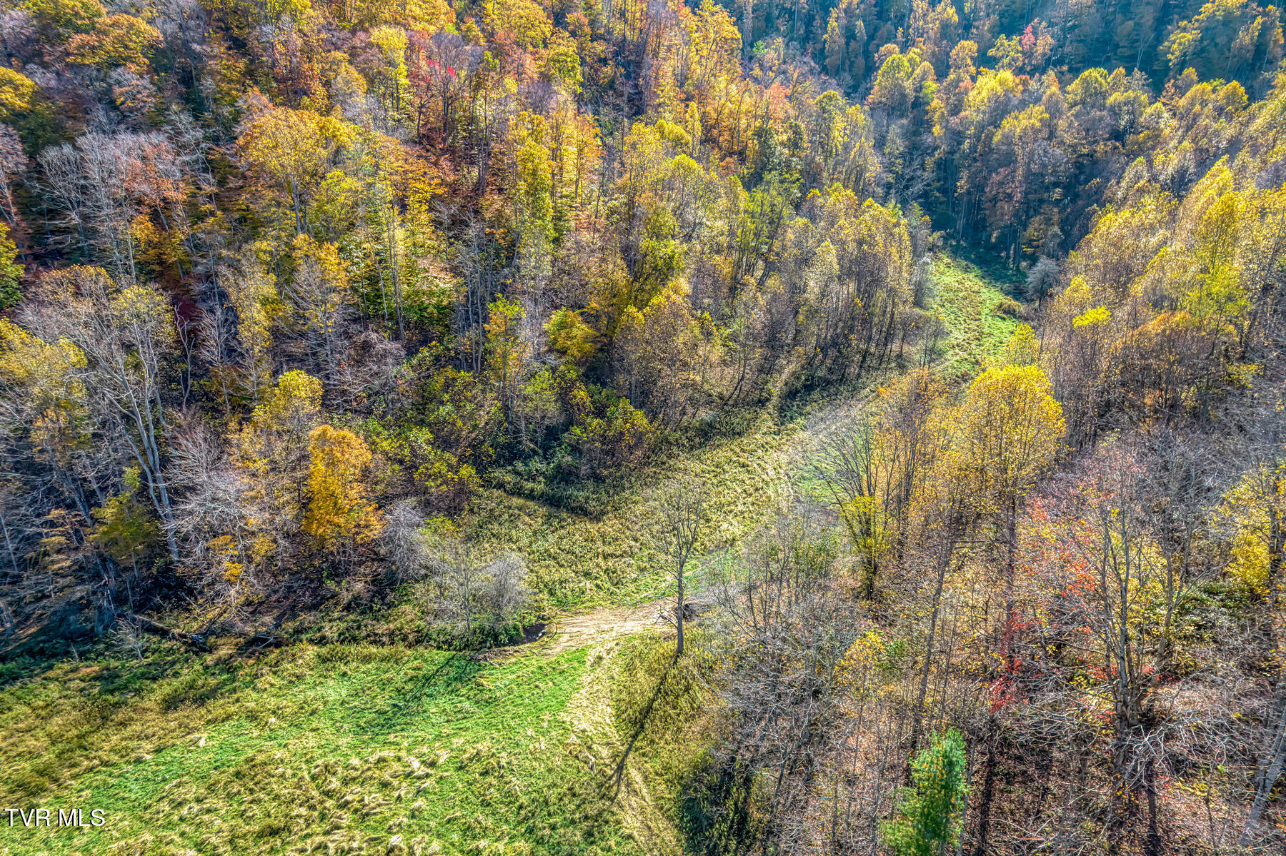 Tbd Miller Road Trade, TN 37691 - Photo 45 of 55 TBD Miller Rd-49