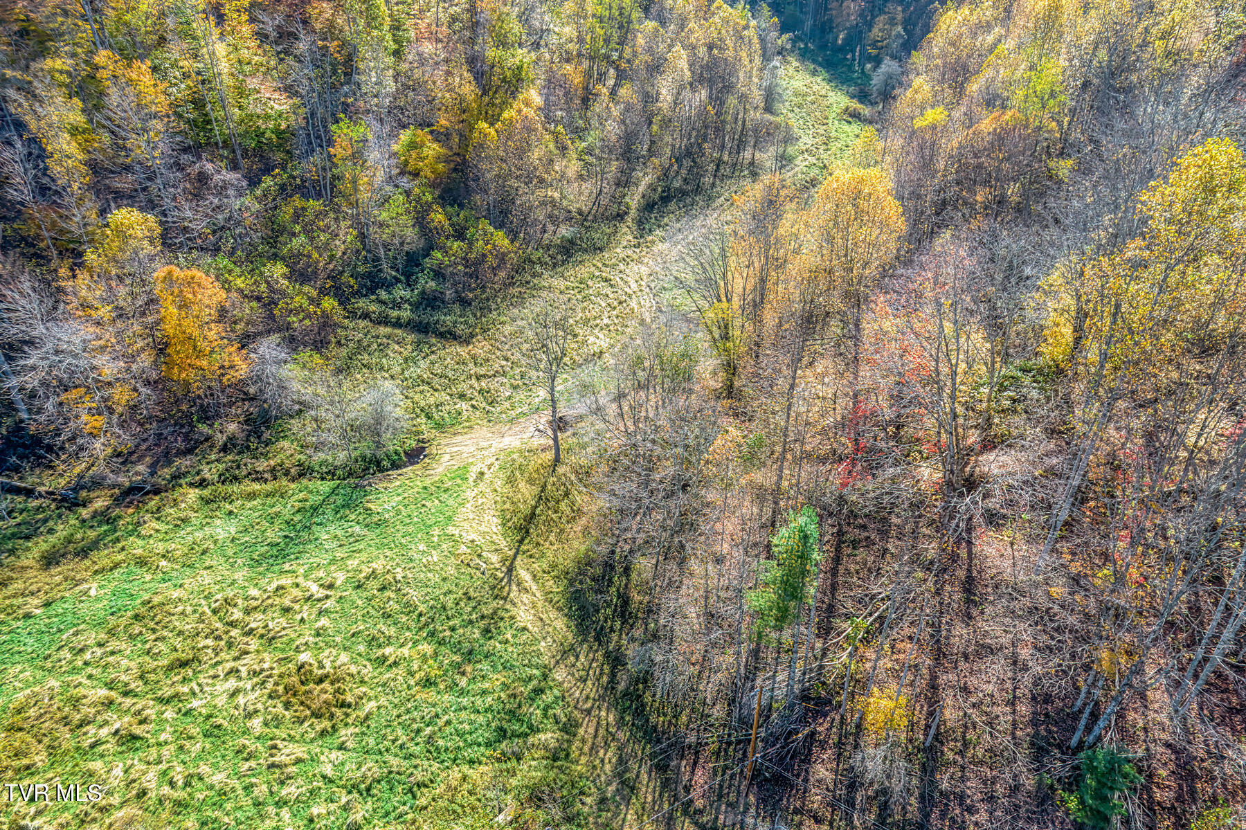 Tbd Miller Road Trade, TN 37691 - Photo 46 of 55 TBD Miller Rd-50