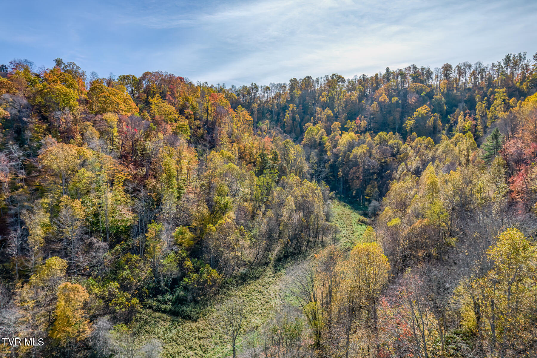 Tbd Miller Road Trade, TN 37691 - Photo 47 of 55 TBD Miller Rd-51