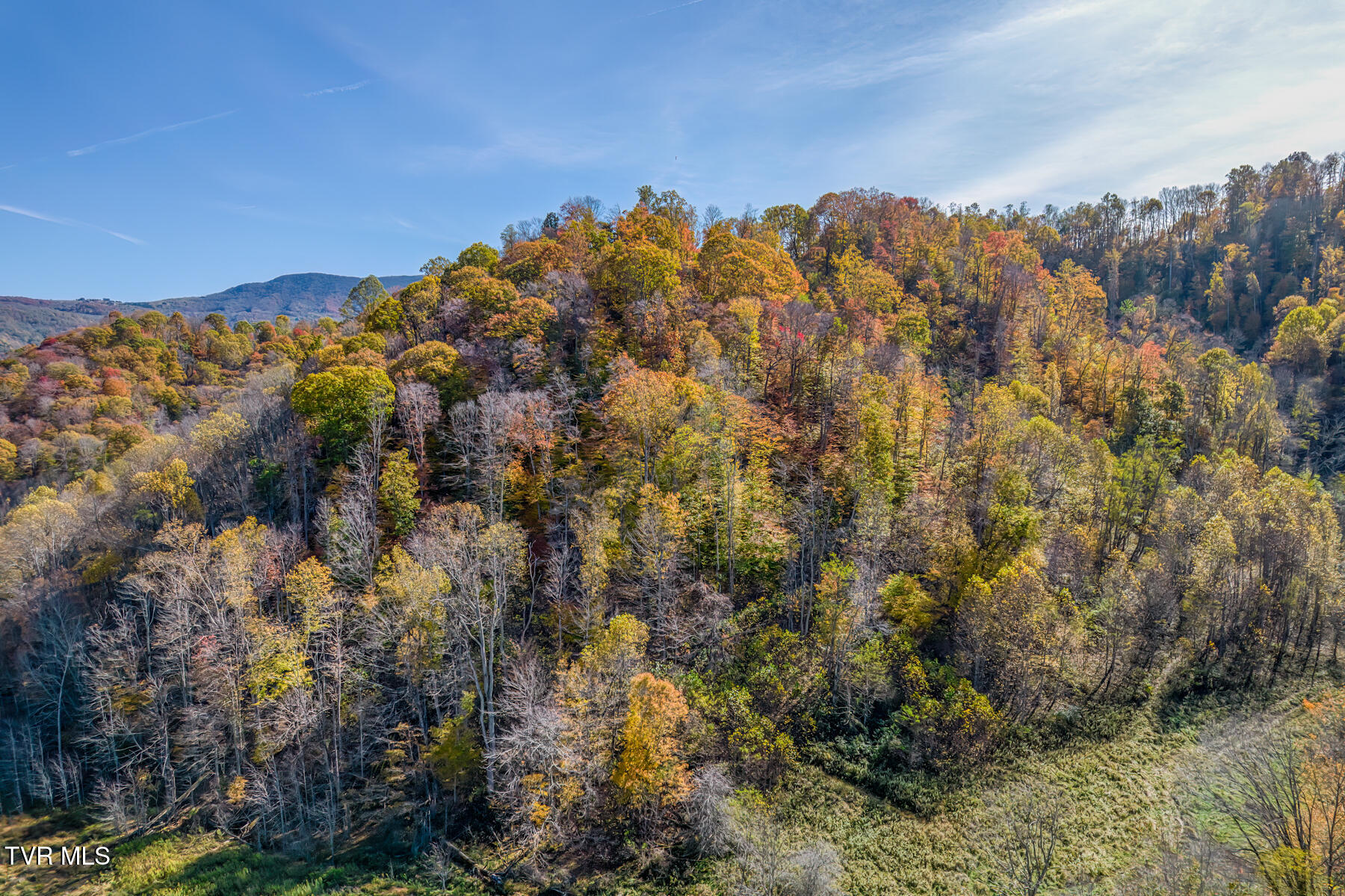Tbd Miller Road Trade, TN 37691 - Photo 48 of 55 TBD Miller Rd-52