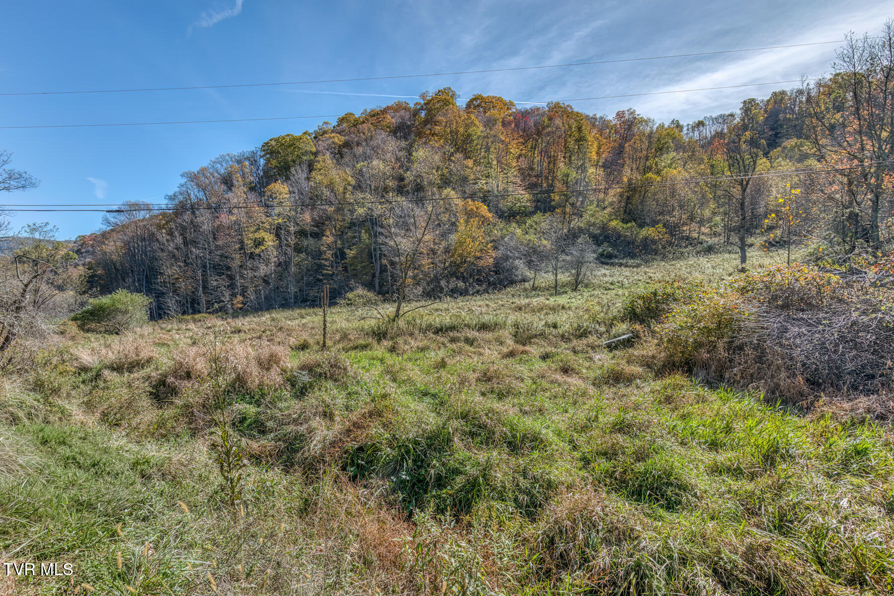 Tbd Miller Road Trade, TN 37691 - Photo 49 of 55 TBD Miller Rd-53