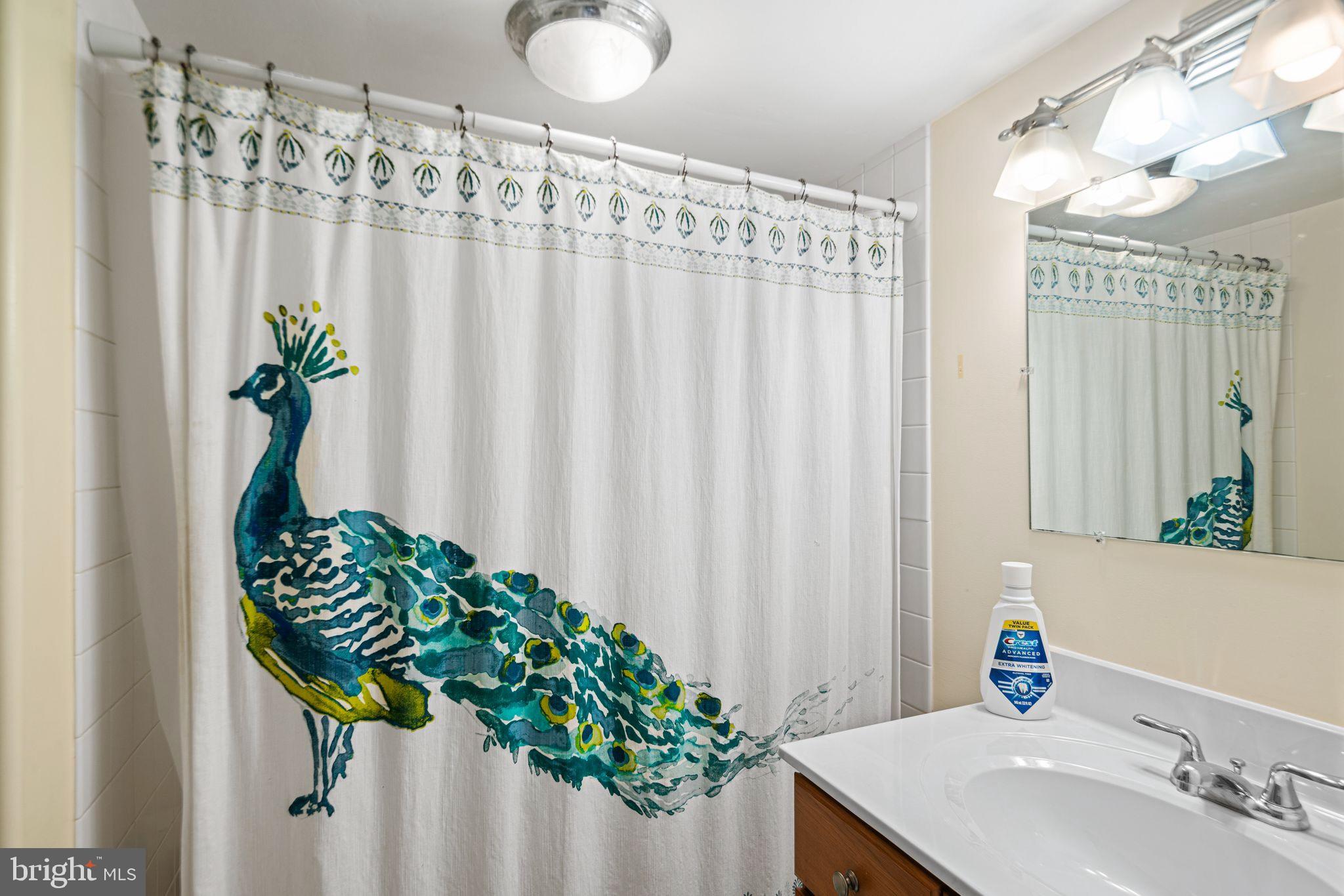1935 Spring Garden Street Philadelphia, PA 19130 - Photo 38 of 49 a bathroom with a sink a mirror and a shower curtain