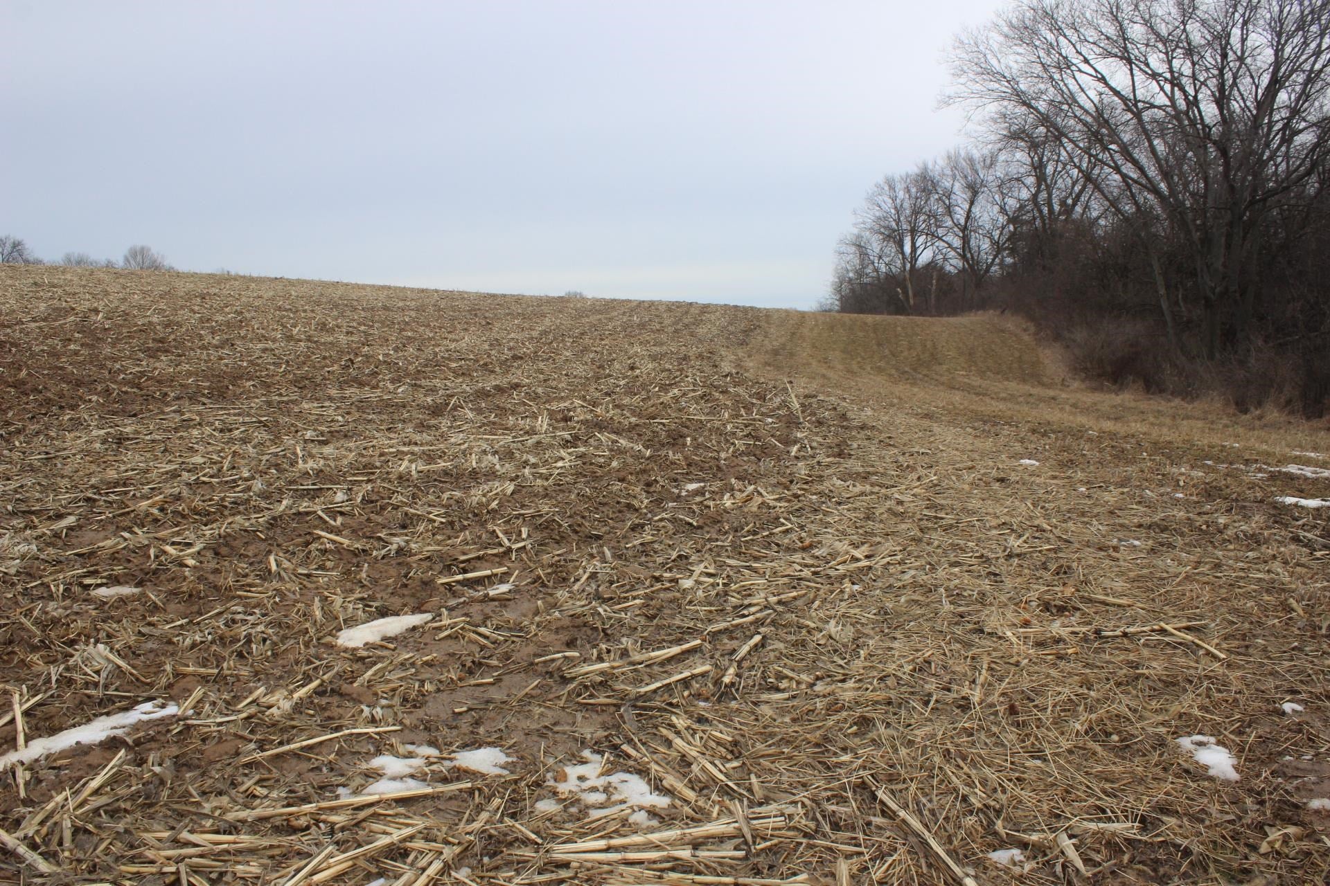 0 484th Avenue Baldwin, IA 52207 - Photo 10 of 15 Gallery Image 10